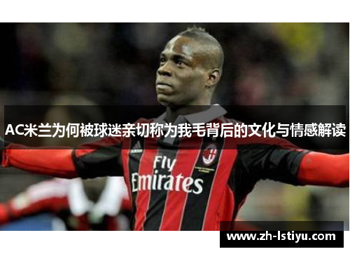 AC米兰为何被球迷亲切称为我毛背后的文化与情感解读