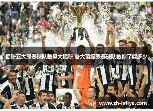 揭秘五大联赛球队数量大揭秘 各大顶级联赛球队数你了解多少
