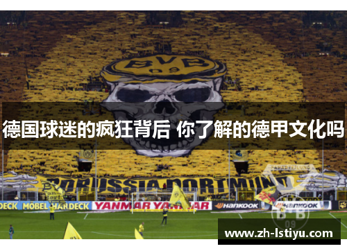 德国球迷的疯狂背后 你了解的德甲文化吗
