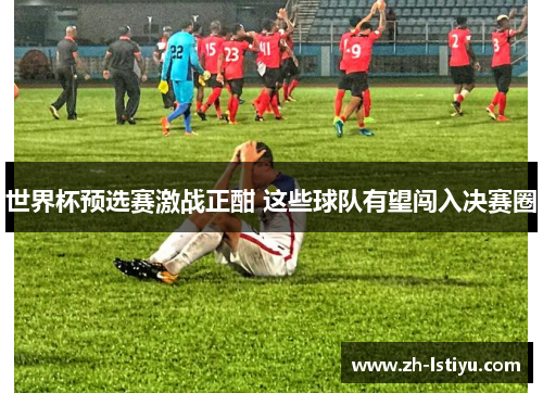 世界杯预选赛激战正酣 这些球队有望闯入决赛圈