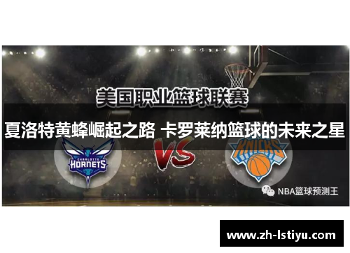 夏洛特黄蜂崛起之路 卡罗莱纳篮球的未来之星
