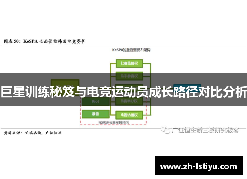 巨星训练秘笈与电竞运动员成长路径对比分析